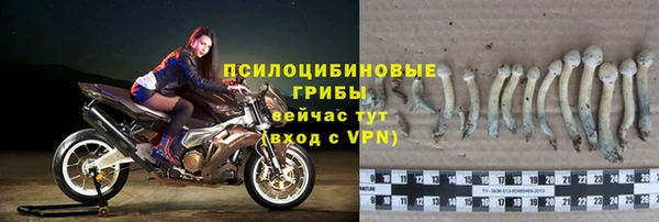МДПВ Бугульма