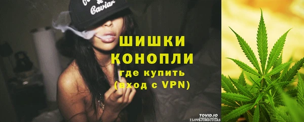 амф Бронницы