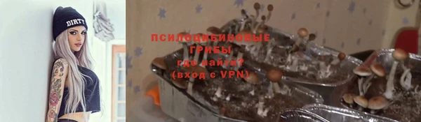 МДПВ Бугульма