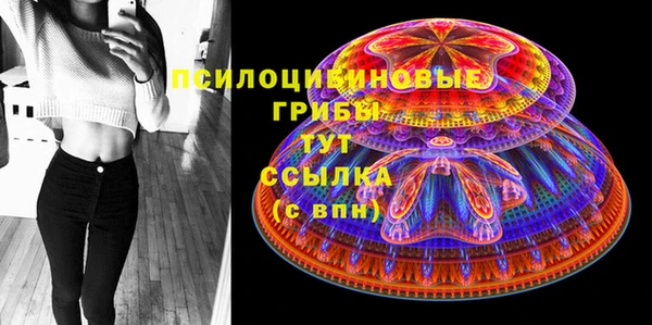 МДПВ Бугульма