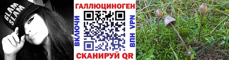 Галлюциногенные грибы Cubensis Нижний Тагил